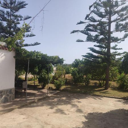 Encantadora Casa Rural Con Gran Porche San Roque  Dış mekan fotoğraf