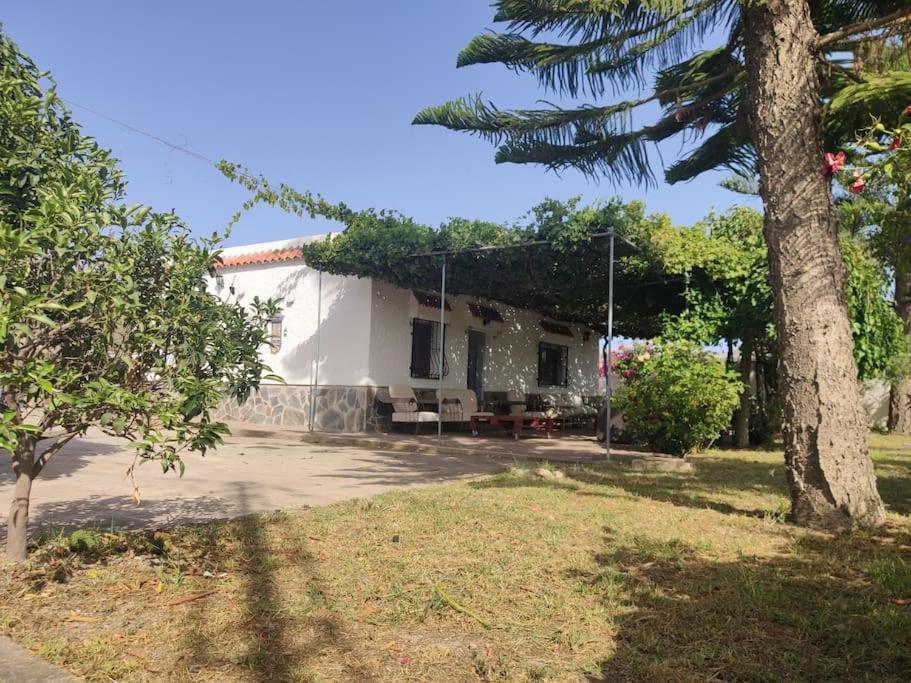 Encantadora Casa Rural Con Gran Porche San Roque  Dış mekan fotoğraf